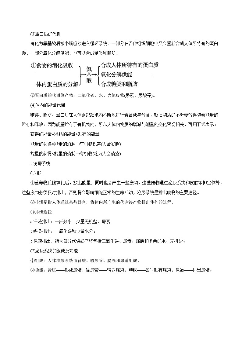 【精品讲义】浙教版 科学 9年级上册 4.5 体内物质的动态平衡02