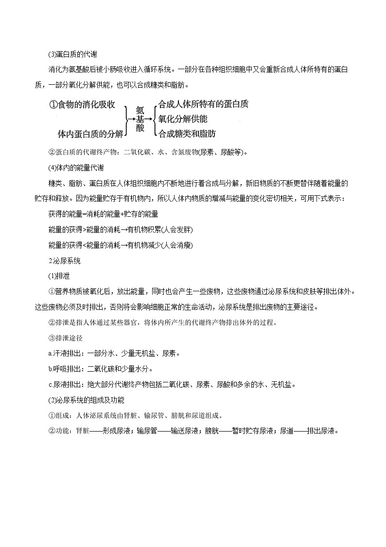 【精品讲义】浙教版 科学 9年级上册 4.5 体内物质的动态平衡02