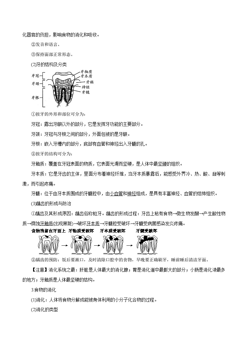 【精品讲义】浙教版 科学 9年级上册 4.2 食物的消化与吸收03