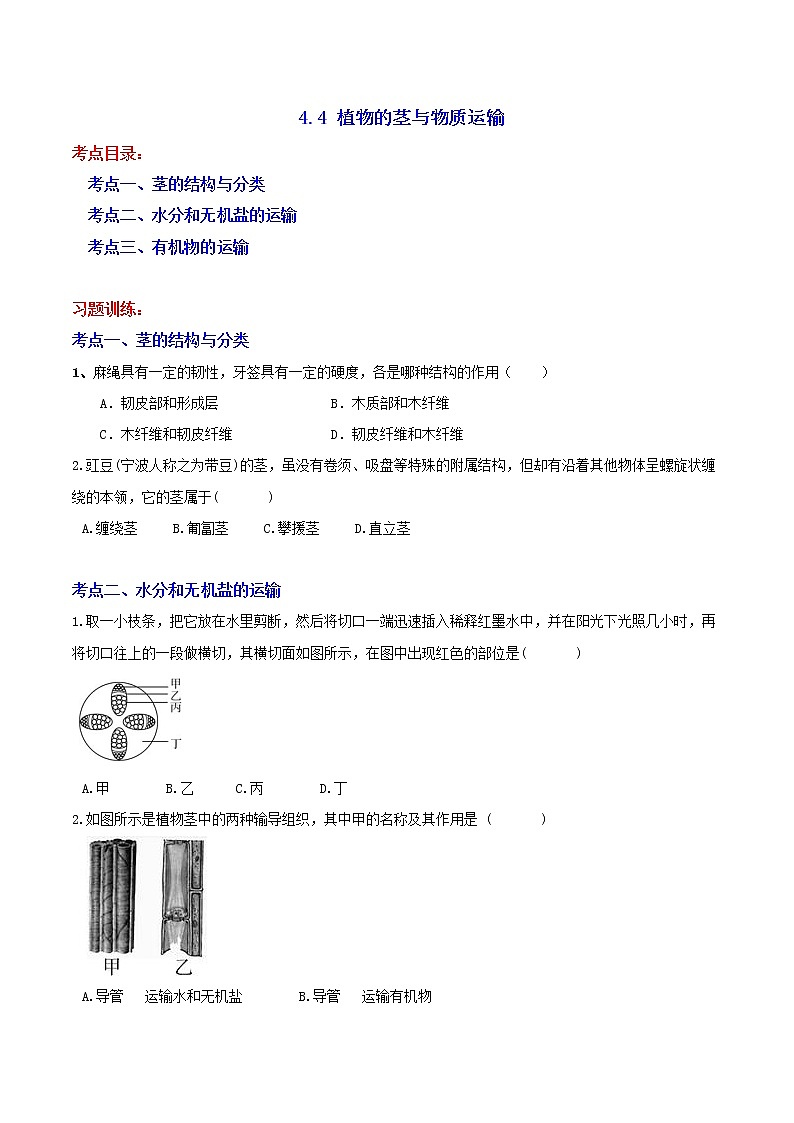 4.4 植物的茎与物质运输 分类集训—2020-2021学年浙教版八年级科学下册同步重难点优化与提高（原卷+解析）01