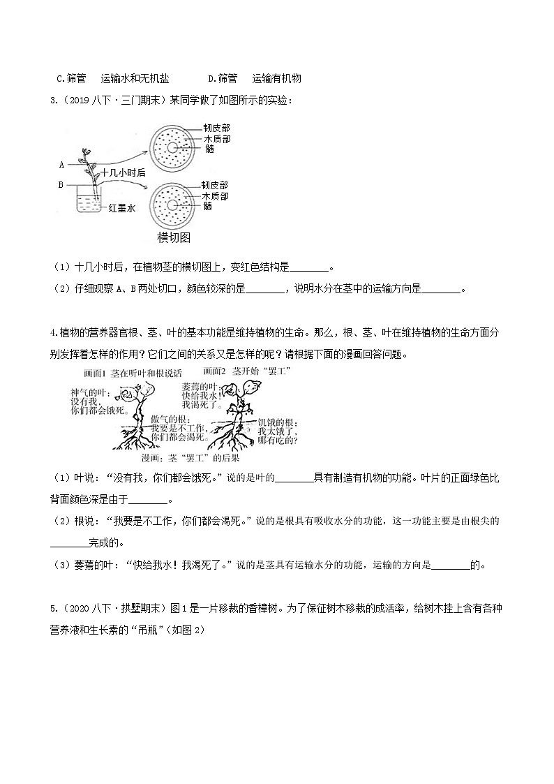 4.4 植物的茎与物质运输 分类集训—2020-2021学年浙教版八年级科学下册同步重难点优化与提高（原卷+解析）02