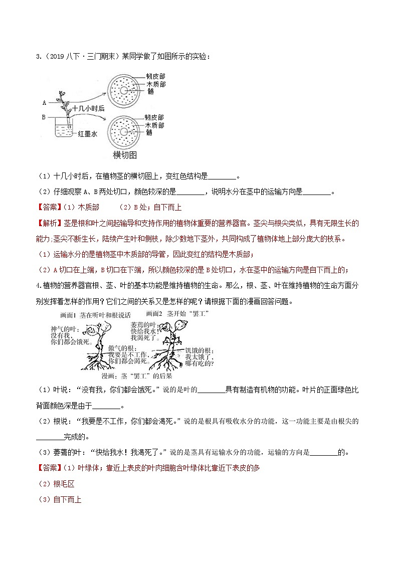 4.4 植物的茎与物质运输 分类集训—2020-2021学年浙教版八年级科学下册同步重难点优化与提高（原卷+解析）03