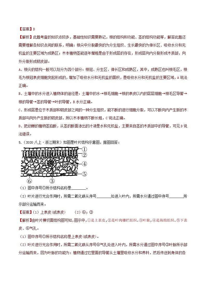 4.5 植物的叶与蒸腾作用 分类集训—2020-2021学年浙教版八年级科学下册同步重难点优化与提高（原卷+解析）02