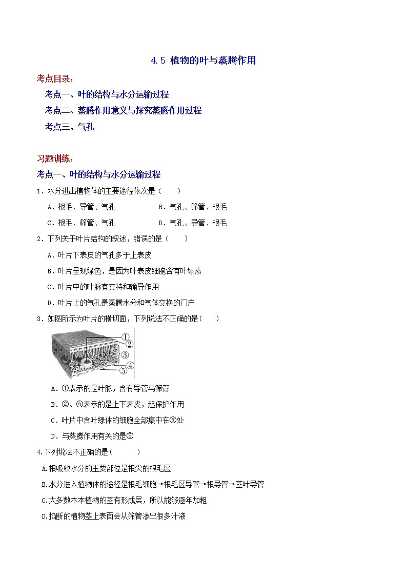 4.5 植物的叶与蒸腾作用 分类集训—2020-2021学年浙教版八年级科学下册同步重难点优化与提高（原卷+解析）01