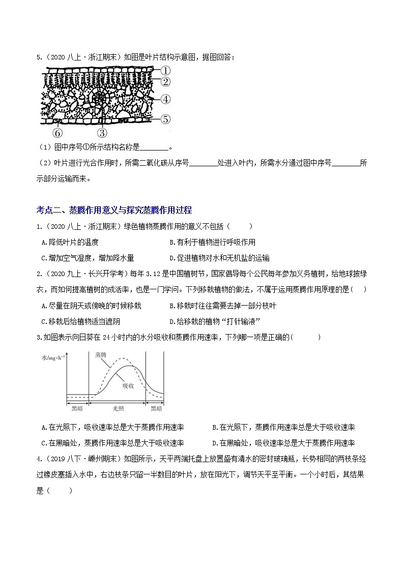 4.5 植物的叶与蒸腾作用 分类集训—2020-2021学年浙教版八年级科学下册同步重难点优化与提高（原卷+解析）02