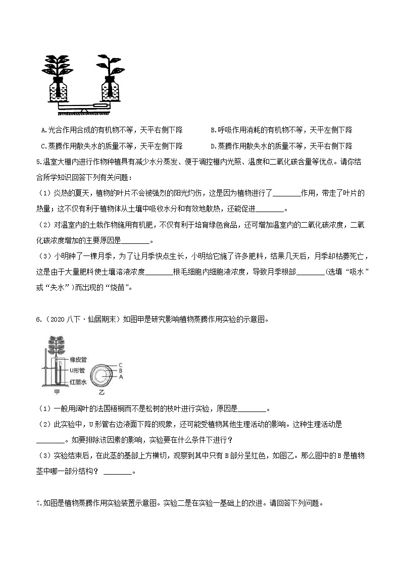 4.5 植物的叶与蒸腾作用 分类集训—2020-2021学年浙教版八年级科学下册同步重难点优化与提高（原卷+解析）03