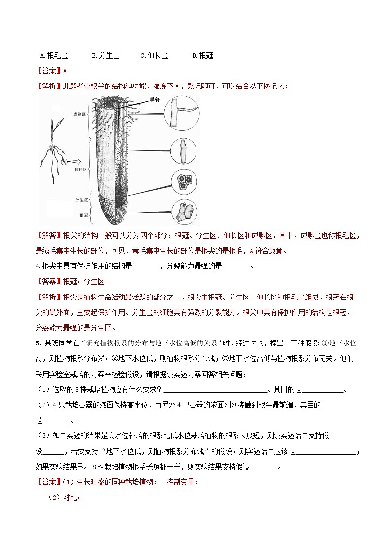 4.3 植物的根与物质运输 分类集训—2020-2021学年浙教版八年级科学下册同步重难点优化与提高（原卷+解析）02