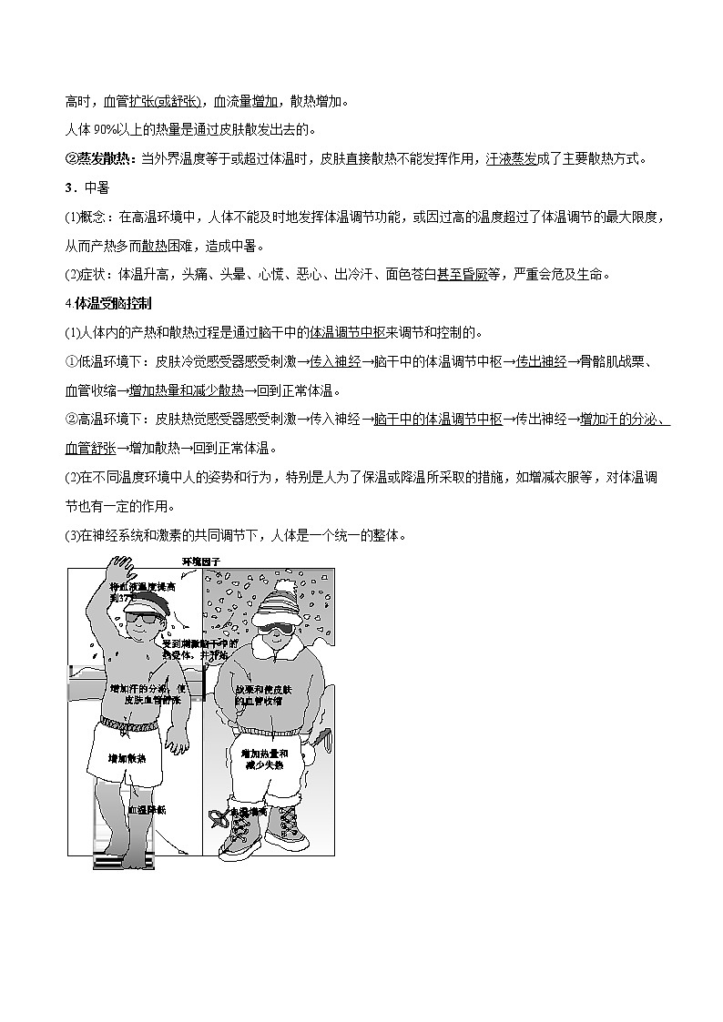 【精品讲义】浙教版 科学 8年级上册 3.5 体温的控制（教师解析版+学生版）02