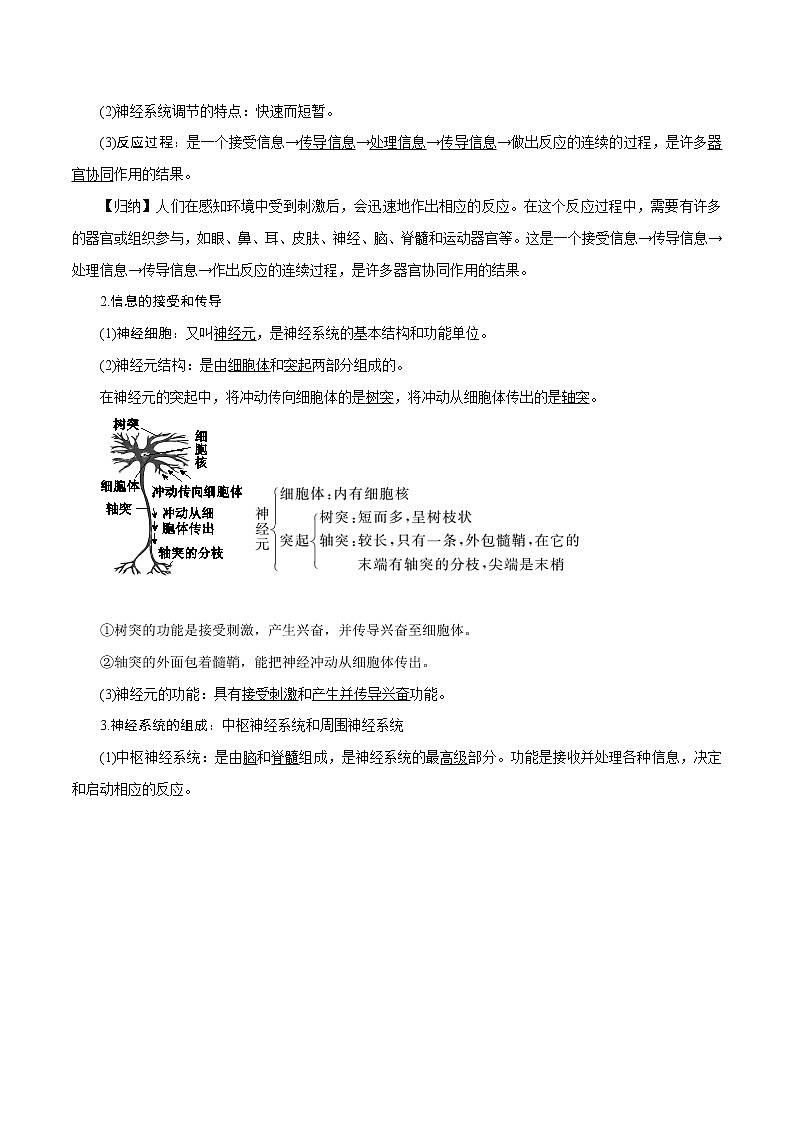 【精品讲义】浙教版 科学 8年级上册 3.3.1 神经调节——对刺激的反应　信息的接受、传导和处理（教师解析版+学生版）02