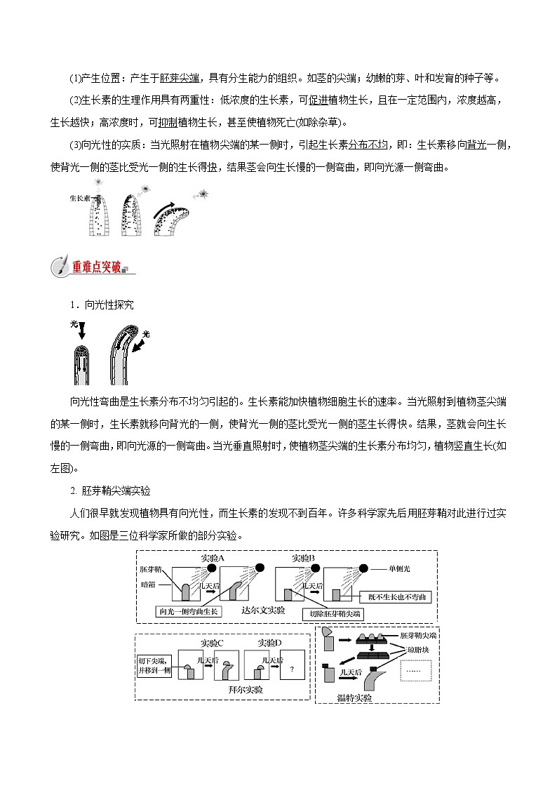 【精品讲义】浙教版 科学 8年级上册 3.1.2 植物生命活动的调节-植物激素（教师解析版+学生版）02