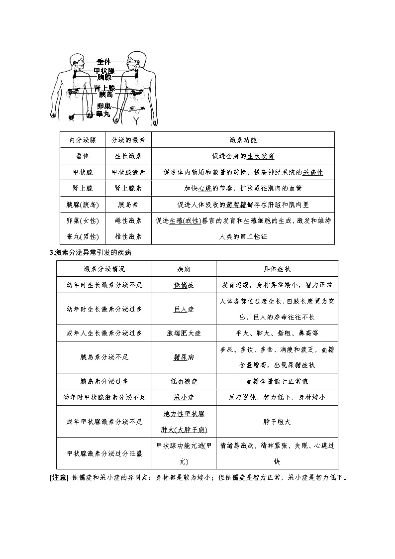 【精品讲义】浙教版 科学 8年级上册 3.2.1 人体的激素调节-内分泌腺和激素（教师解析版+学生版）02