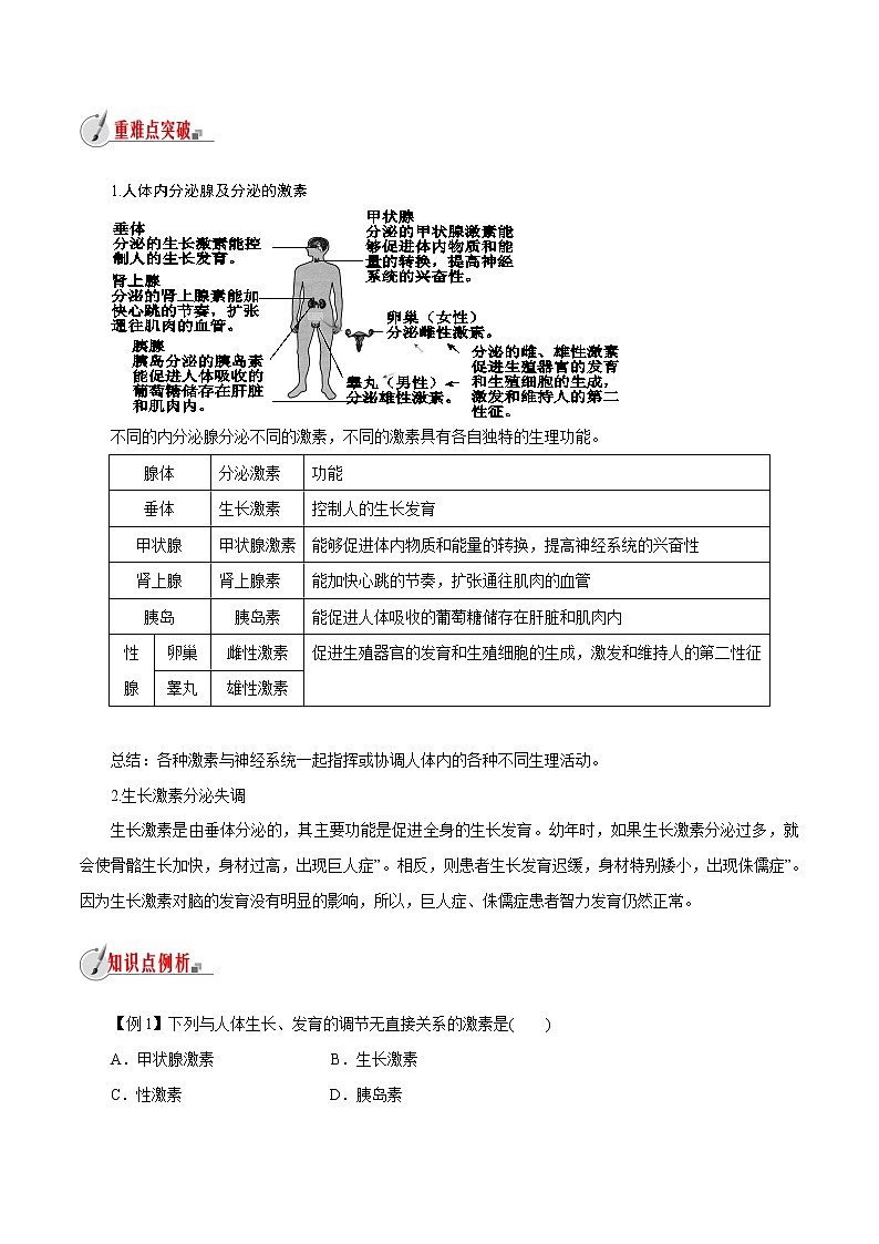 【精品讲义】浙教版 科学 8年级上册 3.2.1 人体的激素调节-内分泌腺和激素（教师解析版+学生版）03