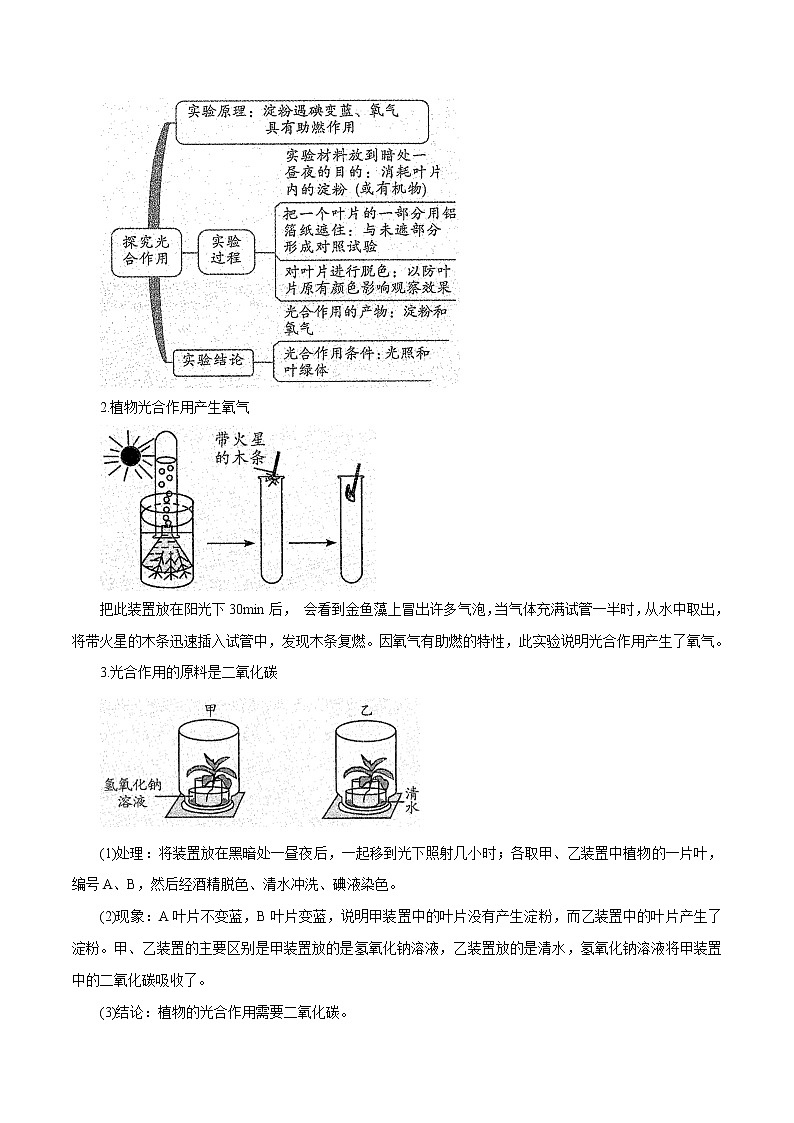 【精品讲义】浙教版 科学  8年级下册 3.6.1 光合作用——光合作用原理以及原料、条件和产物（学生版）第2页