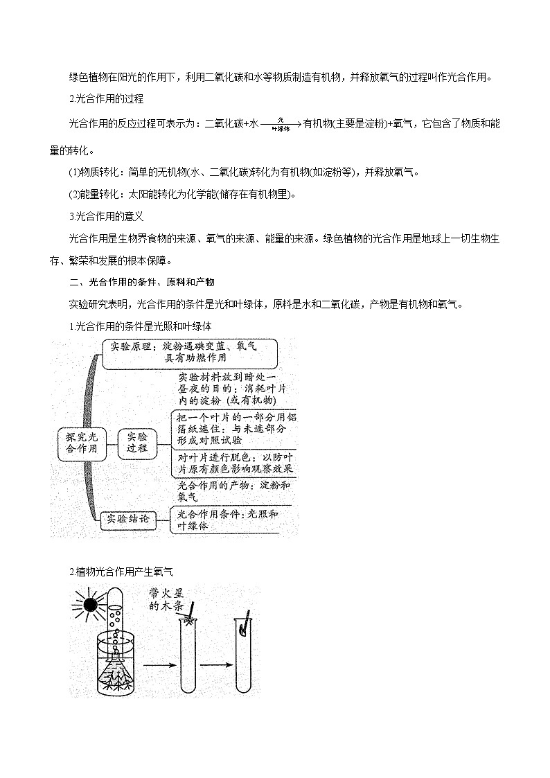 【精品讲义】浙教版 科学  8年级下册   3.6.1 光合作用——光合作用原理以及原料、条件和产物（教师版含解析）第2页