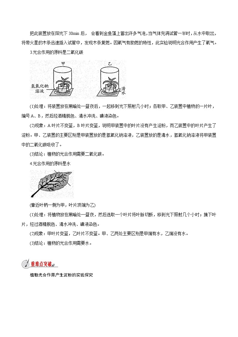【精品讲义】浙教版 科学  8年级下册   3.6.1 光合作用——光合作用原理以及原料、条件和产物（教师版含解析）第3页