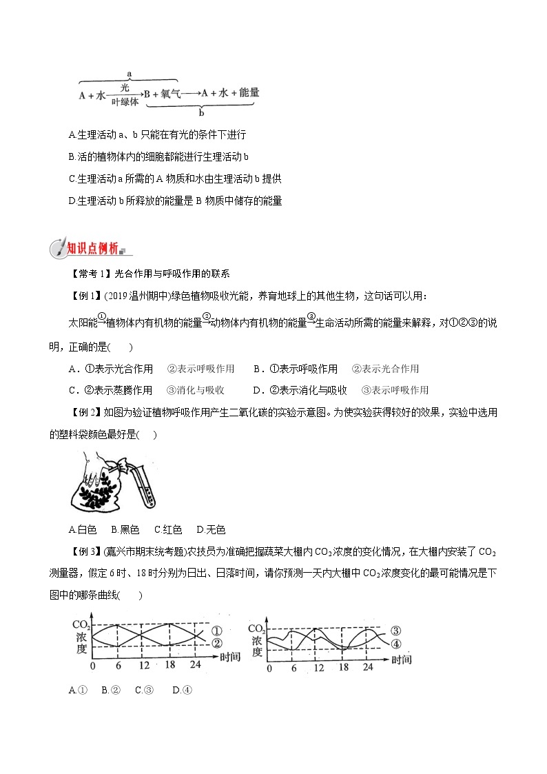 【精品讲义】浙教版 科学  8年级下册   3.6.2 光合作用——光合作用和呼吸作用的相互关系（教师解析版+学生版）03