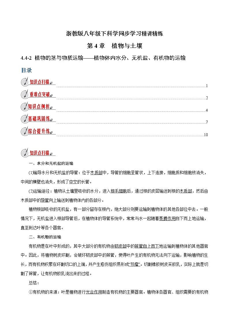 【精品讲义】浙教版 科学  8年级下册   4.4.2 植物的茎与物质运输——植物体内水分、无机盐、有机物的运输（教师解析版+学生版）01
