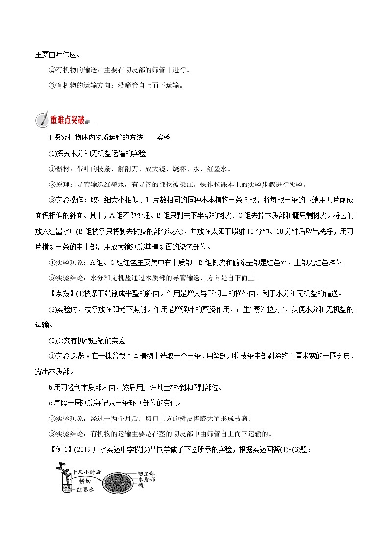 【精品讲义】浙教版 科学  8年级下册   4.4.2 植物的茎与物质运输——植物体内水分、无机盐、有机物的运输（教师解析版+学生版）02