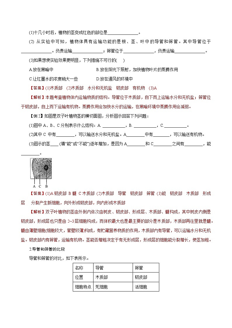 【精品讲义】浙教版 科学  8年级下册   4.4.2 植物的茎与物质运输——植物体内水分、无机盐、有机物的运输（教师解析版+学生版）03