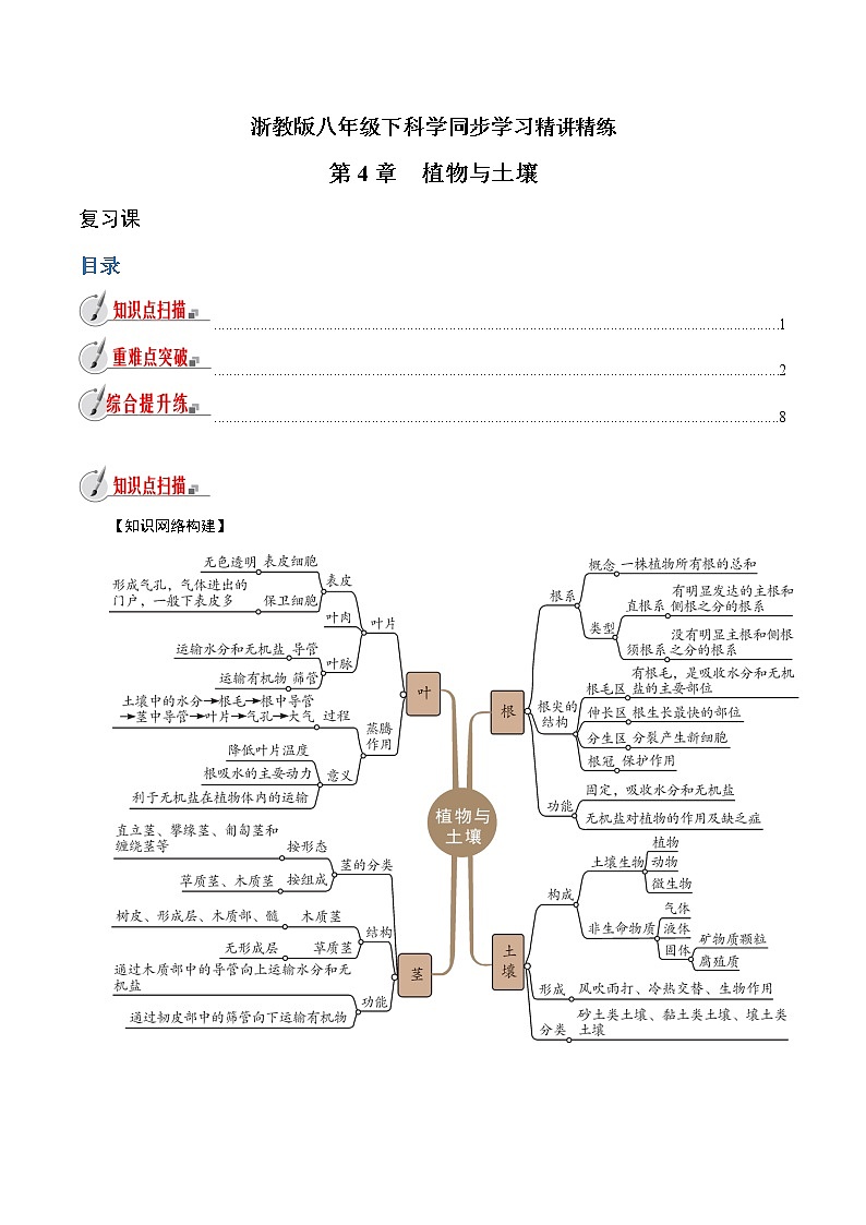 【精品讲义】浙教版 科学  8年级下册   第04章 植物与土壤（复习课）（教师解析版+学生版）01
