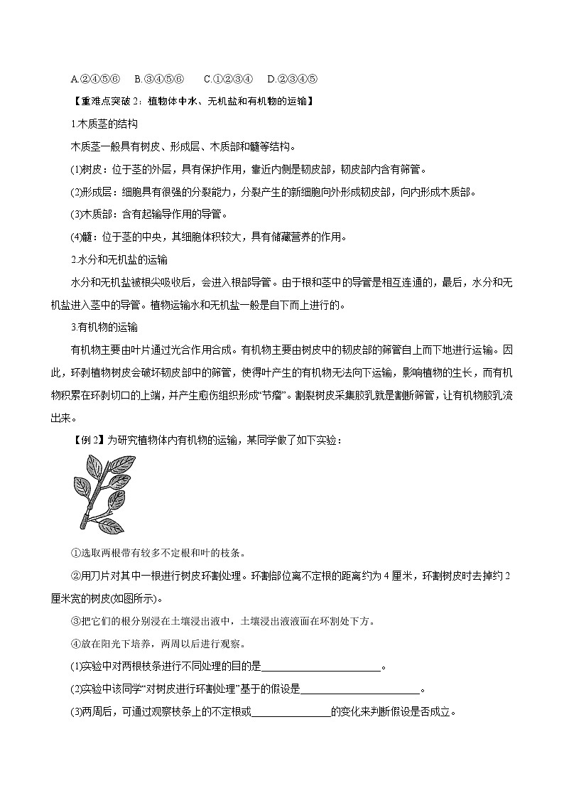 【精品讲义】浙教版 科学  8年级下册   第04章 植物与土壤（复习课）（教师解析版+学生版）03