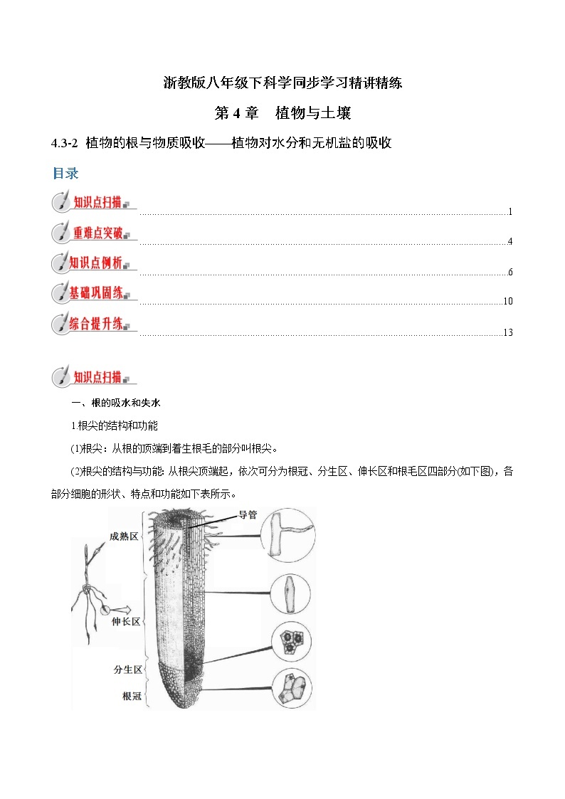 【精品讲义】浙教版 科学  8年级下册   4.3.2 植物的根与物质吸收——植物对水分和无机盐的吸收（教师解析版+学生版）01