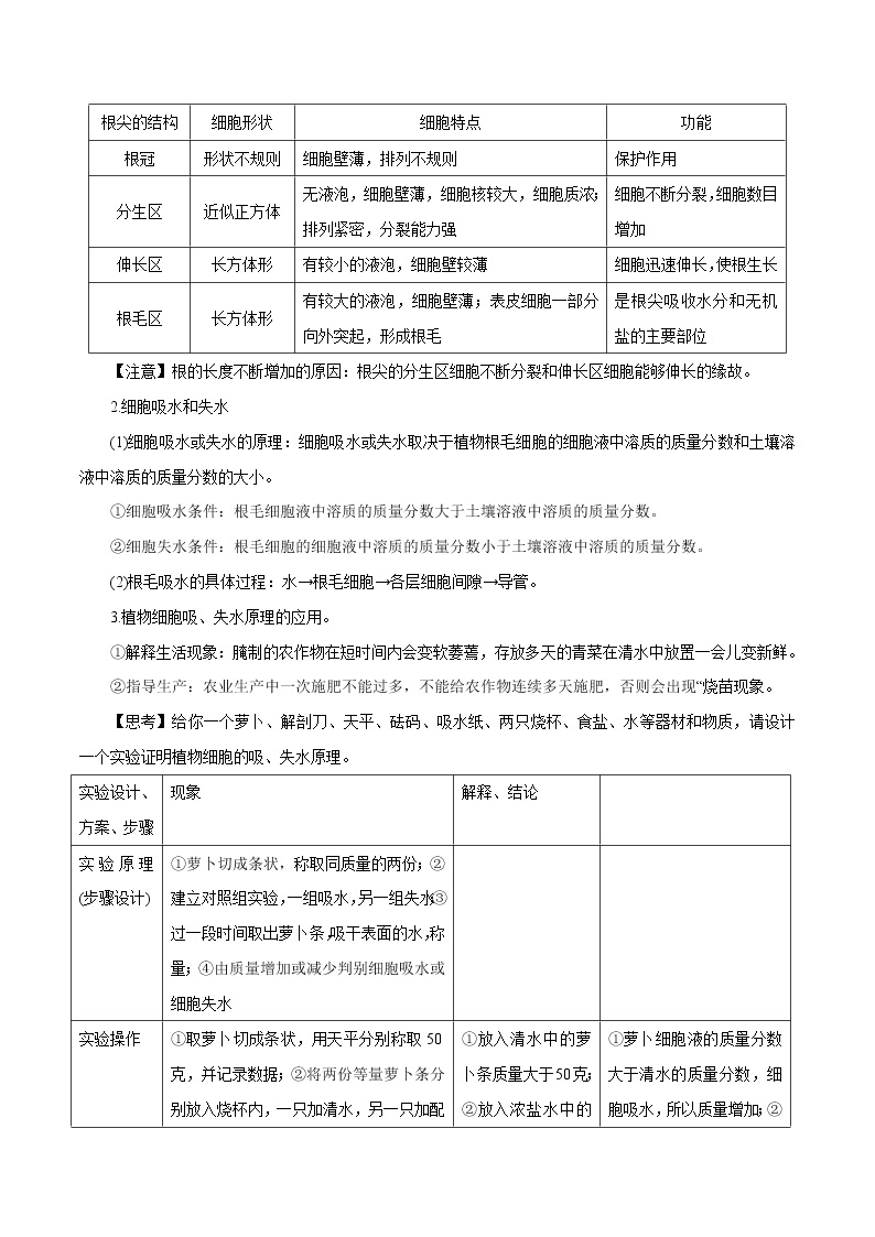 【精品讲义】浙教版 科学  8年级下册   4.3.2 植物的根与物质吸收——植物对水分和无机盐的吸收（教师解析版+学生版）02