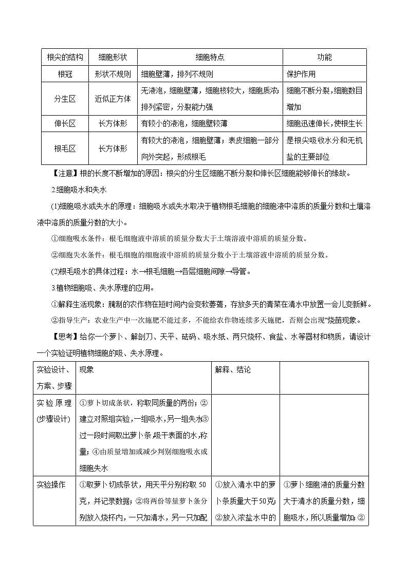 【精品讲义】浙教版 科学  8年级下册 4.3.2 植物的根与物质吸收——植物对水分和无机盐的吸收（学生版）第2页