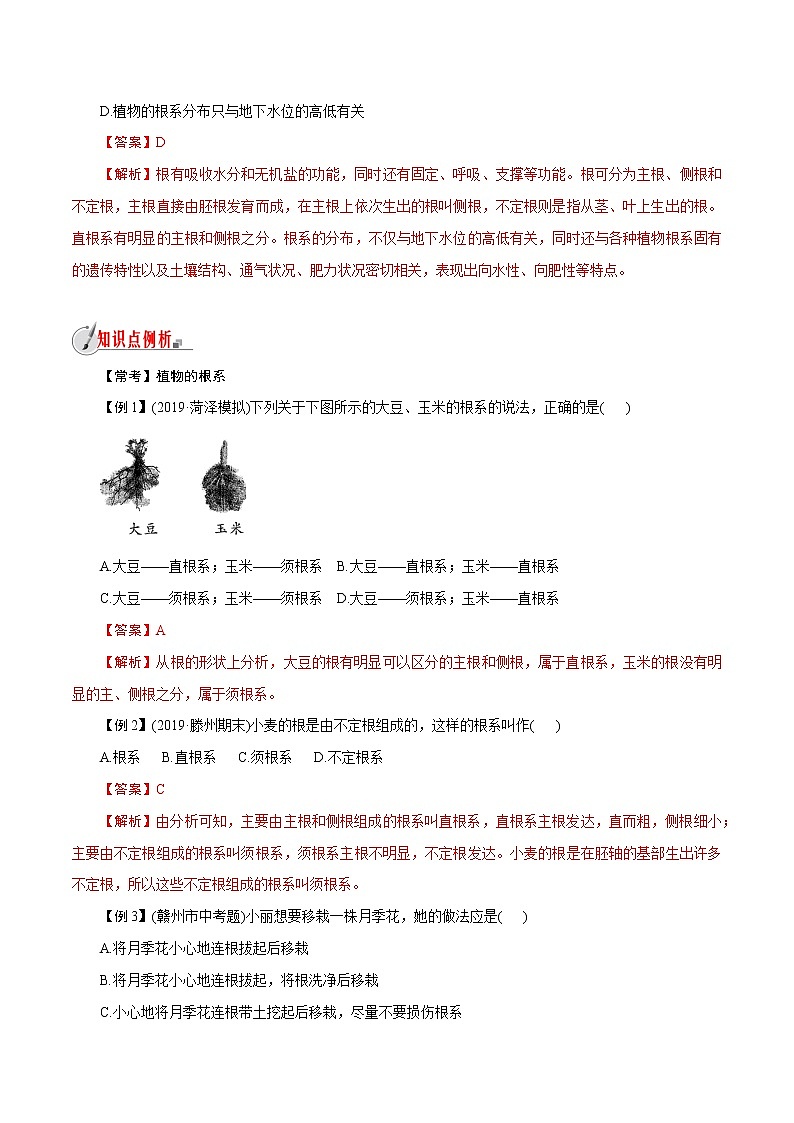 【精品讲义】浙教版 科学  8年级下册   4.3.1 植物的根与物质吸收——植物的根系（教师解析版+学生版）03