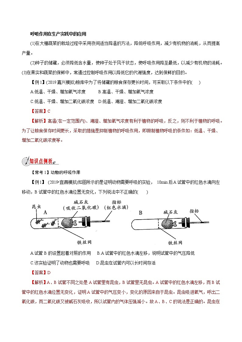 【精品讲义】浙教版 科学  8年级下册   3.5.2 生物的呼吸与呼吸作用——动植物的呼吸（教师解析版+学生版）03