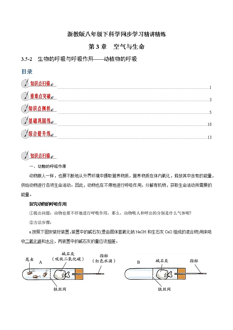 【精品讲义】浙教版 科学  8年级下册   3.5.2 生物的呼吸与呼吸作用——动植物的呼吸（教师解析版+学生版）01