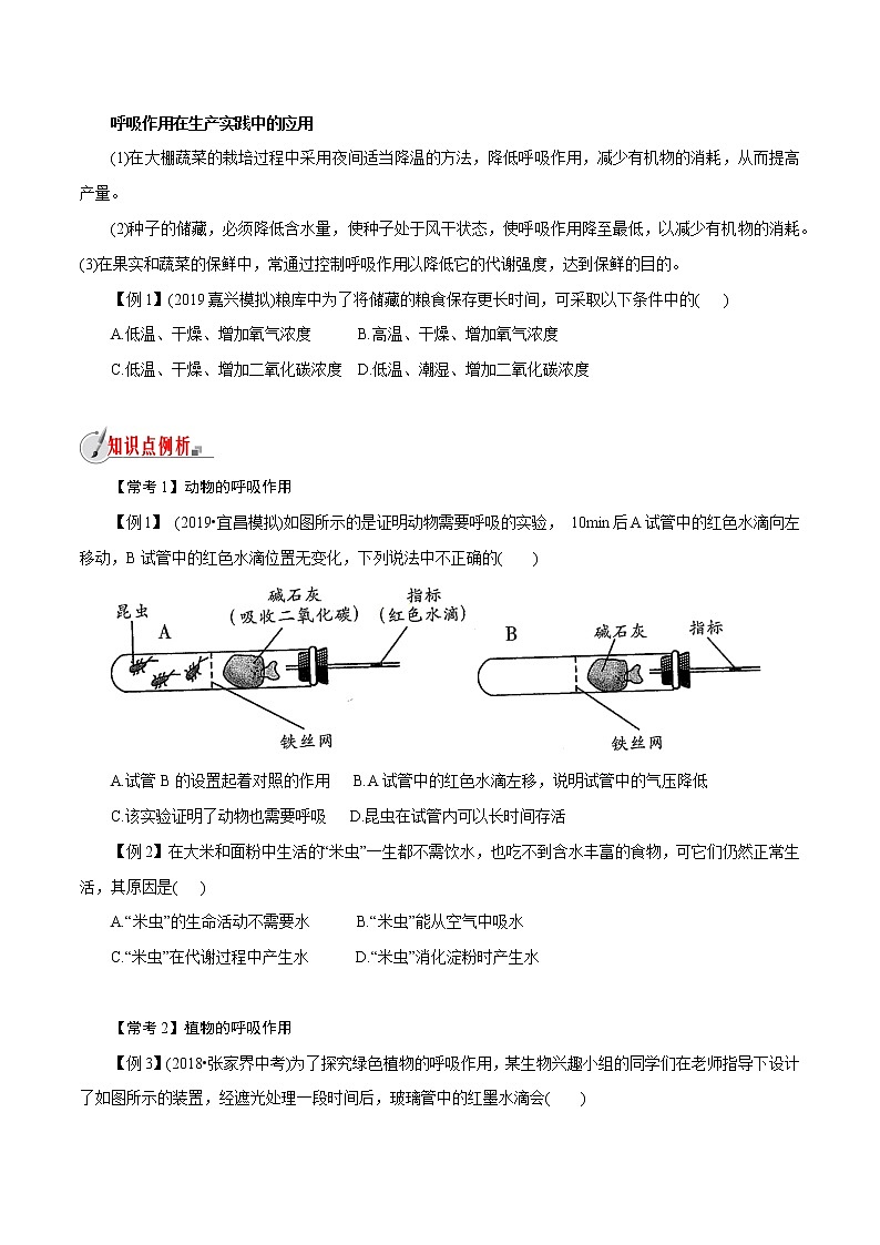 【精品讲义】浙教版 科学  8年级下册   3.5.2 生物的呼吸与呼吸作用——动植物的呼吸（教师解析版+学生版）03
