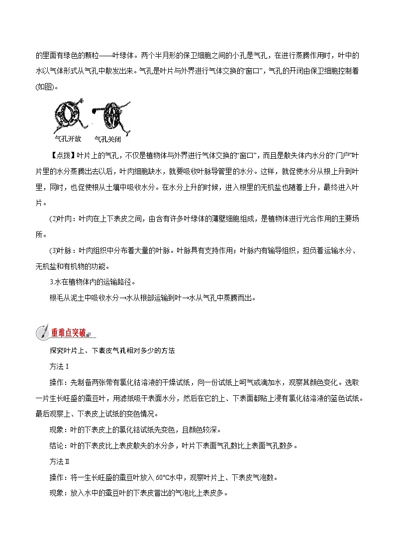 【精品讲义】浙教版 科学  8年级下册   4.5.1 植物的叶与蒸腾作用——叶片的结构（教师解析版+学生版）02
