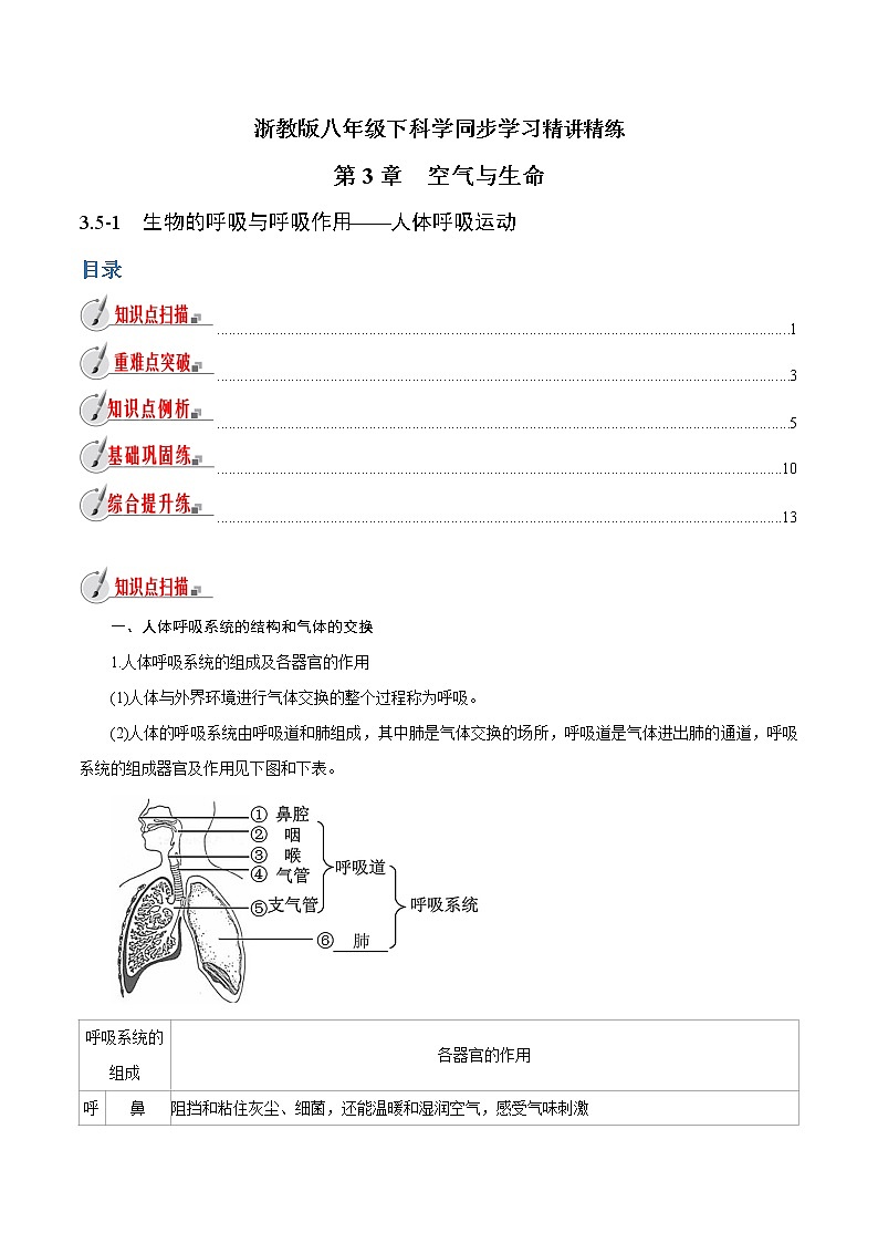 【精品讲义】浙教版 科学  8年级下册   3.5.1 生物的呼吸与呼吸作用——人体呼吸运动（教师解析版+学生版）01