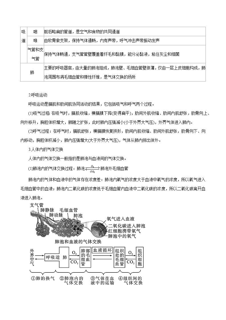 【精品讲义】浙教版 科学  8年级下册   3.5.1 生物的呼吸与呼吸作用——人体呼吸运动（教师解析版+学生版）02
