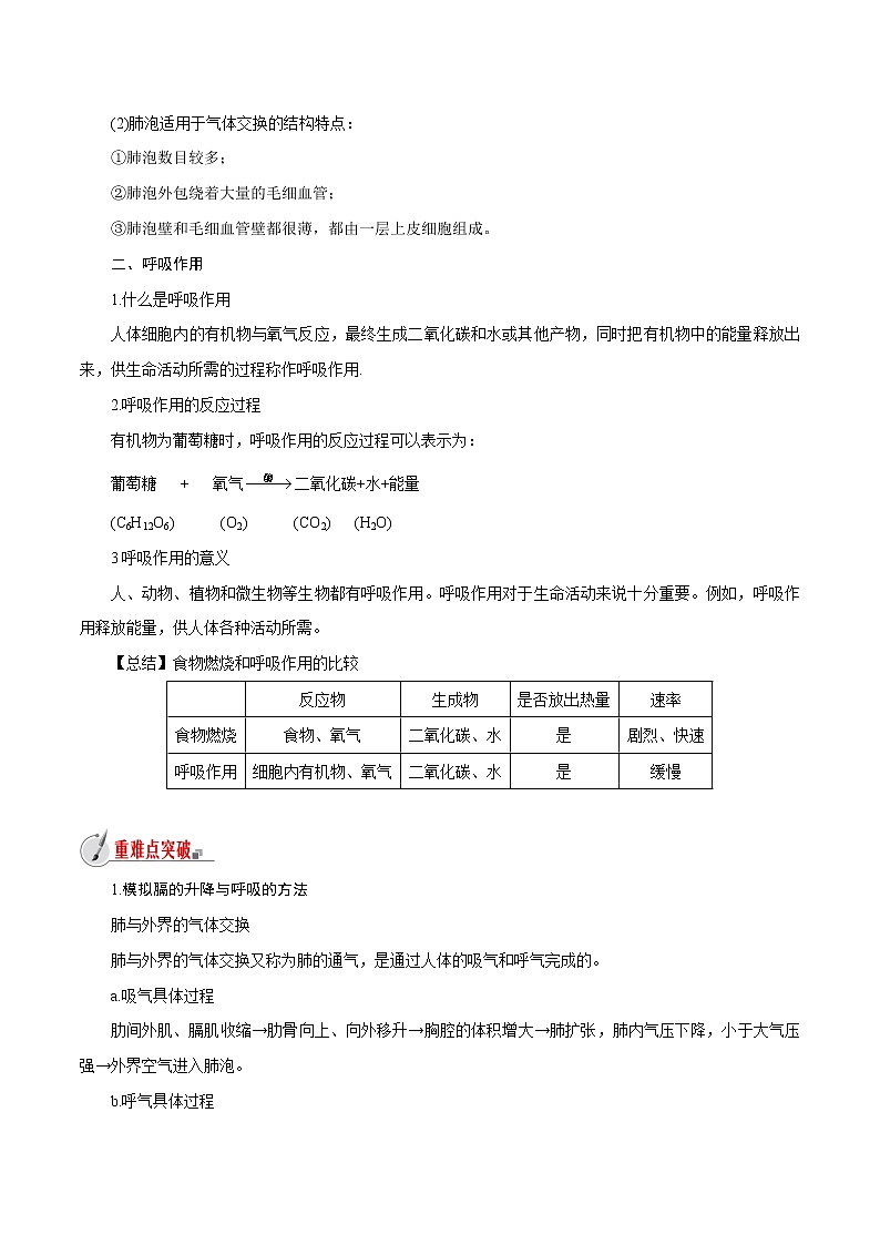 【精品讲义】浙教版 科学  8年级下册   3.5.1 生物的呼吸与呼吸作用——人体呼吸运动（教师解析版+学生版）03