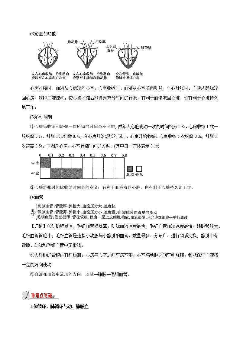 【精品讲义】浙教版 科学 9年级上册 4.3.1 体内物质的运输——血液、心脏和血管03