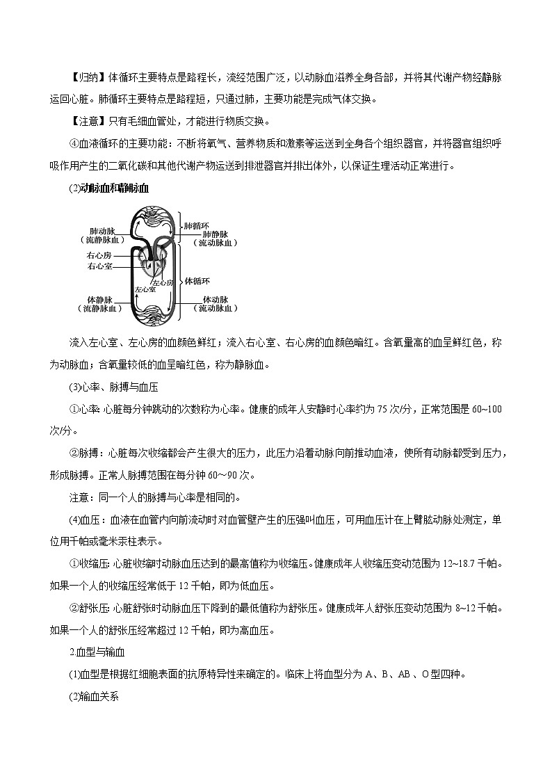 【精品讲义】浙教版 科学 9年级上册 4.3.2 体内物质的运输——血液循环02