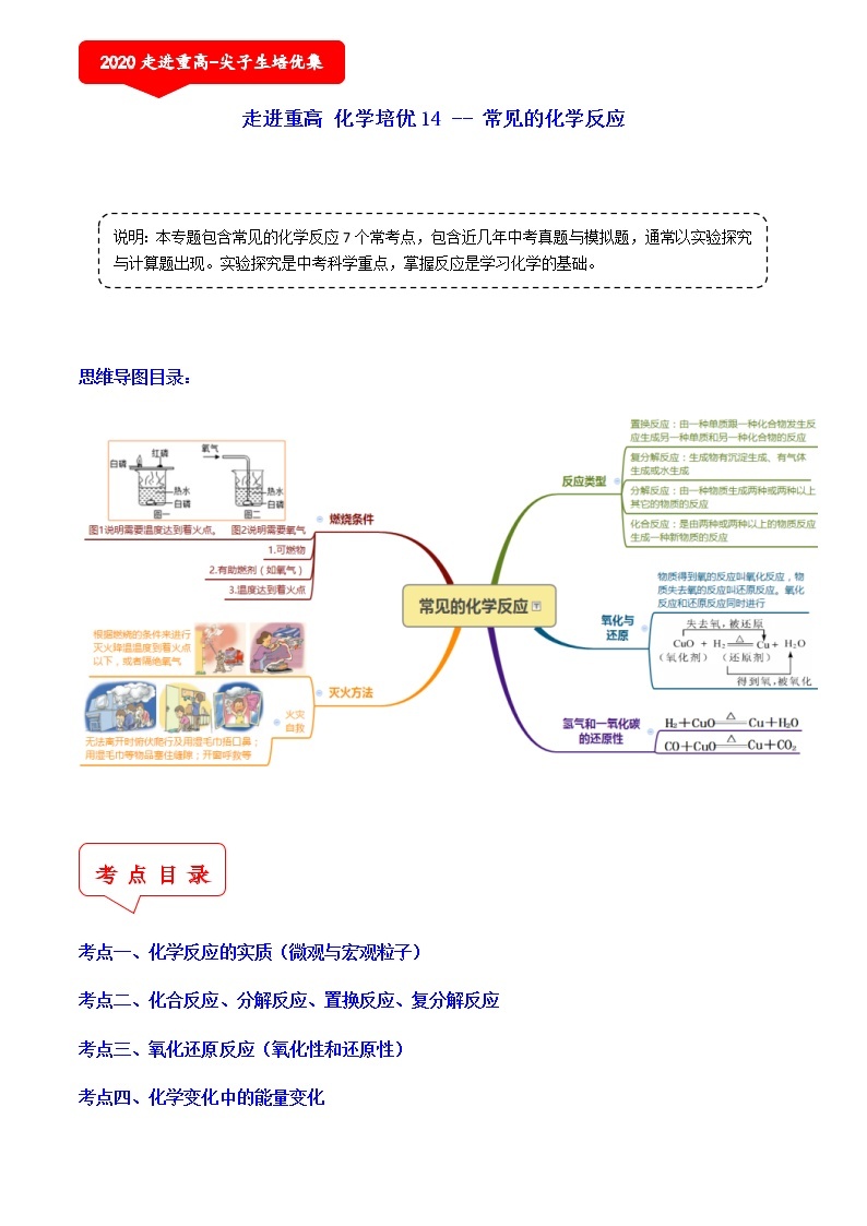 常见的化学反应（7个考点）-2021年中考科学（浙教版）重难点、易错点复习练习（教育机构专用）01