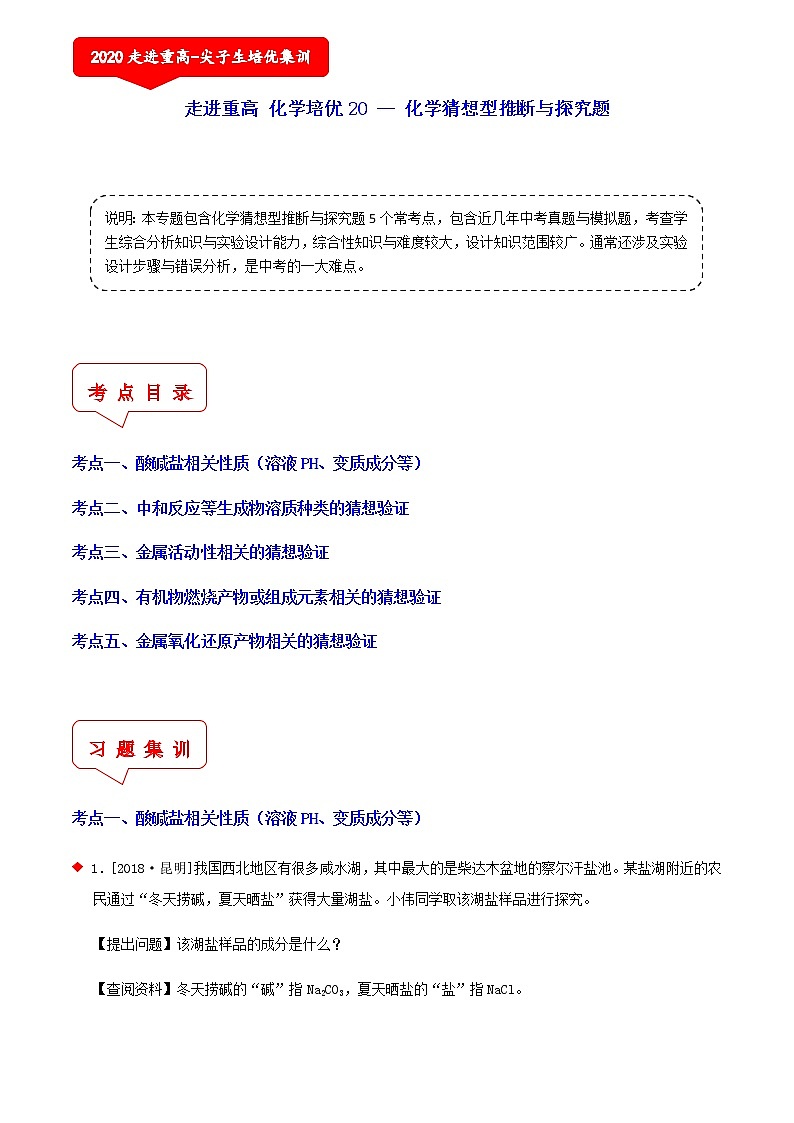 化学猜想型推断与探究题（5个考点）-2021年中考科学（浙教版）重难点、易错点复习练习（教育机构专用）01