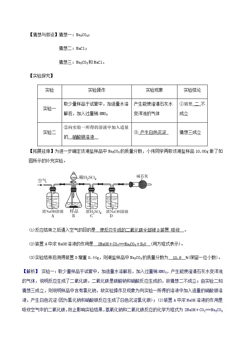 化学猜想型推断与探究题（5个考点）-2021年中考科学（浙教版）重难点、易错点复习练习（教育机构专用）02