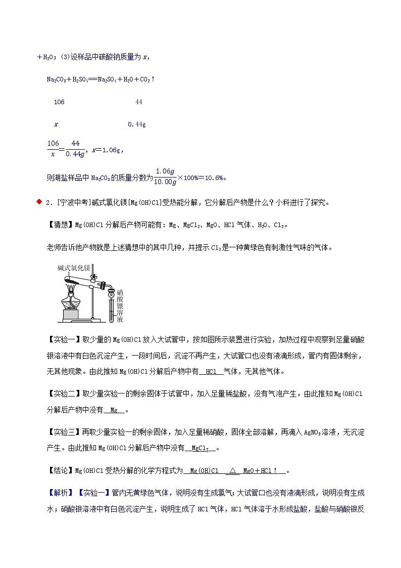化学猜想型推断与探究题（5个考点）-2021年中考科学（浙教版）重难点、易错点复习练习（教育机构专用）03