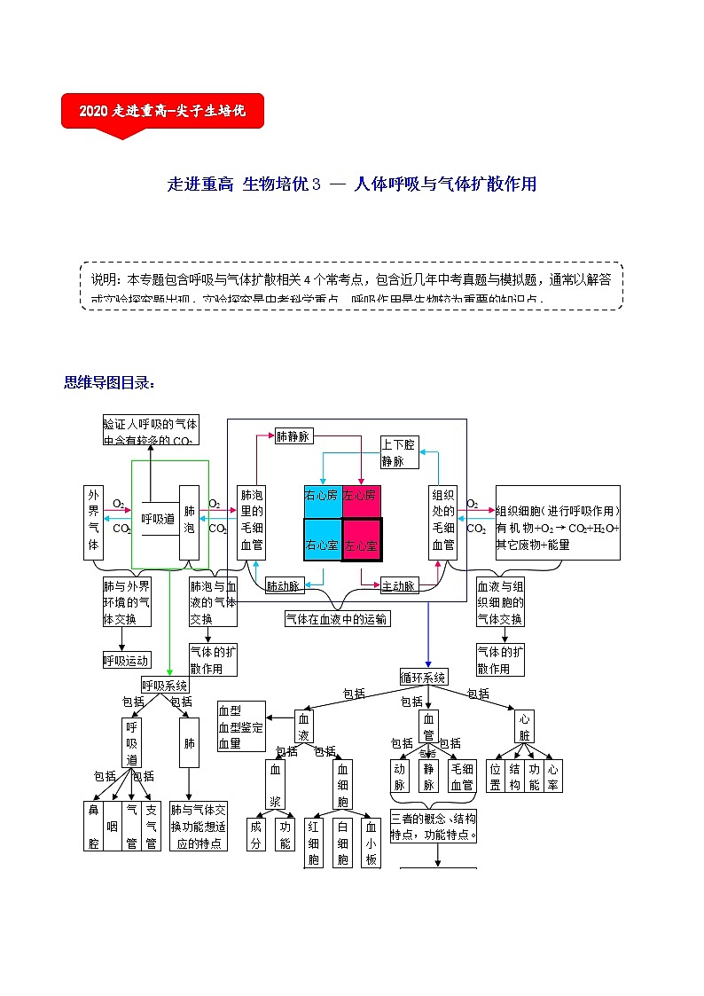 人体呼吸与气体扩散作用（4个考点）-2021年中考科学（浙教版）重难点、易错点复习练习（教育机构专用）01