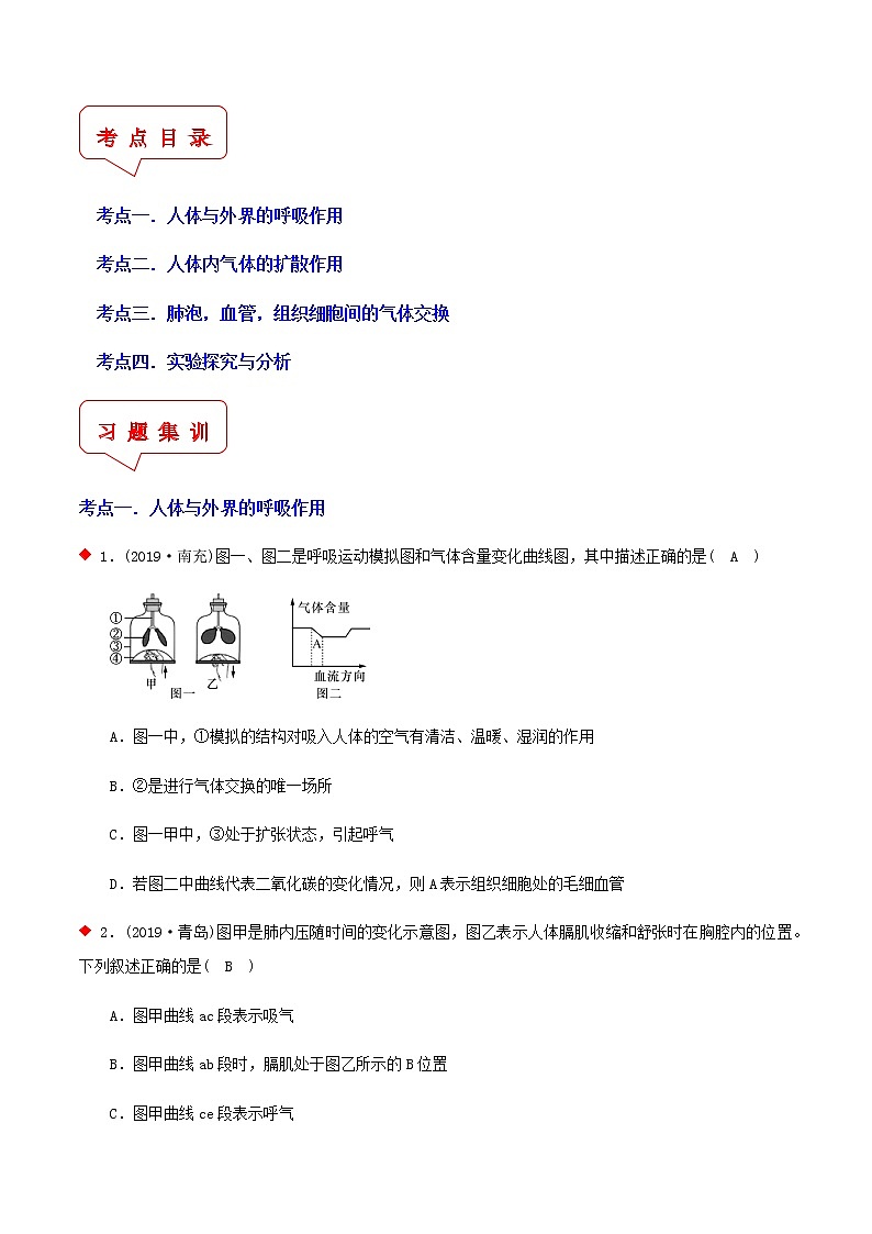 人体呼吸与气体扩散作用（4个考点）-2021年中考科学（浙教版）重难点、易错点复习练习（教育机构专用）02