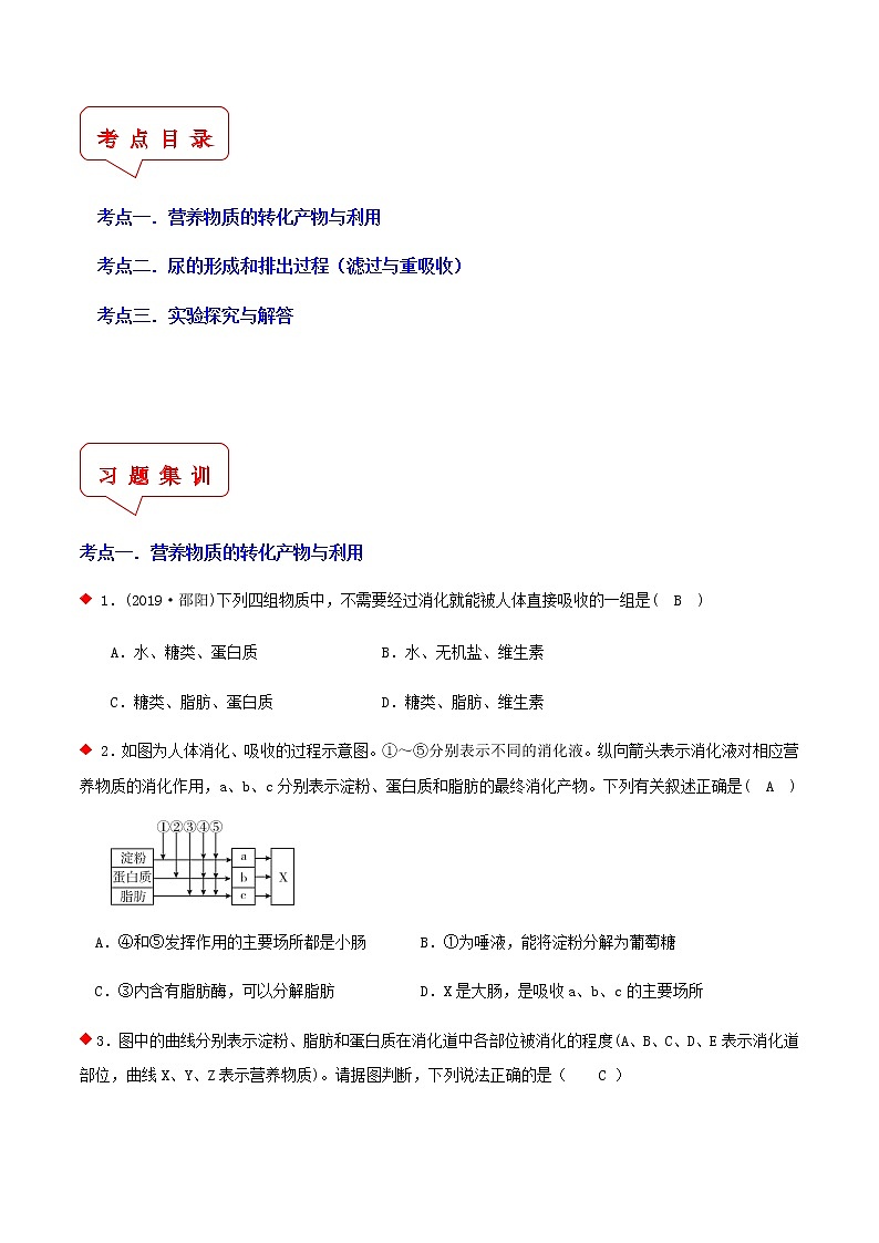 人体动态平衡与泌尿系统（3个考点）-2021年中考科学（浙教版）重难点、易错点复习练习（教育机构专用）02