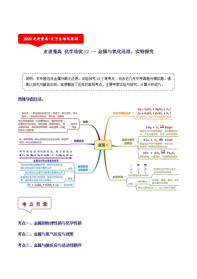 金属与氧化还原，实验探究（10个考点）-2021年中考科学（浙教版）重难点、易错点复习练习（教育机构专用）01