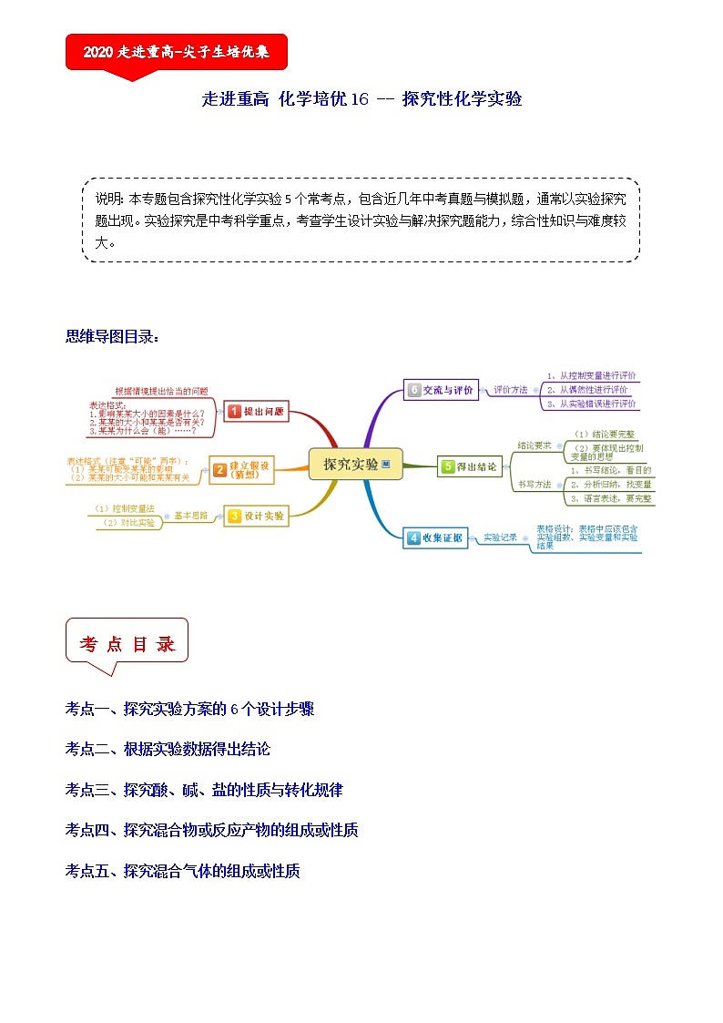 探究性化学实验（5个考点）-2021年中考科学（浙教版）重难点、易错点复习练习（教育机构专用）01
