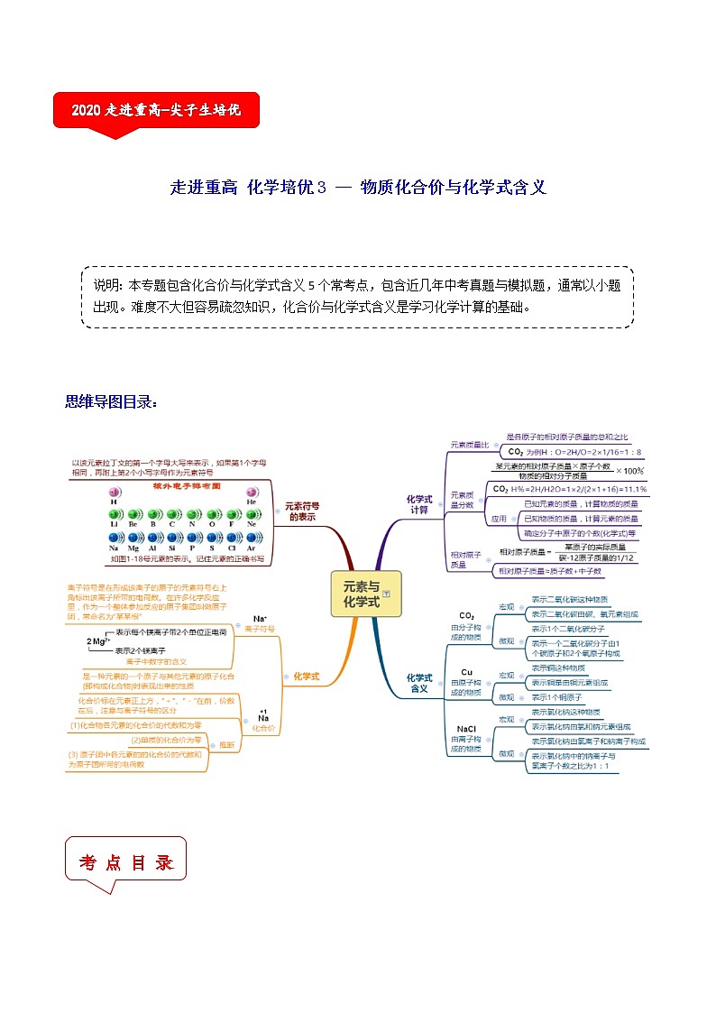 物质化合价与化学式含义（5个考点）-2021年中考科学（浙教版）重难点、易错点复习练习（教育机构专用）01