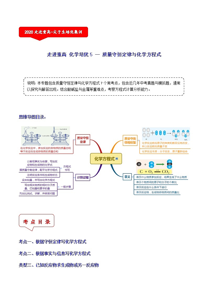 质量守恒定律应用（7个考点）-2021年中考科学（浙教版）重难点、易错点复习练习（教育机构专用）01
