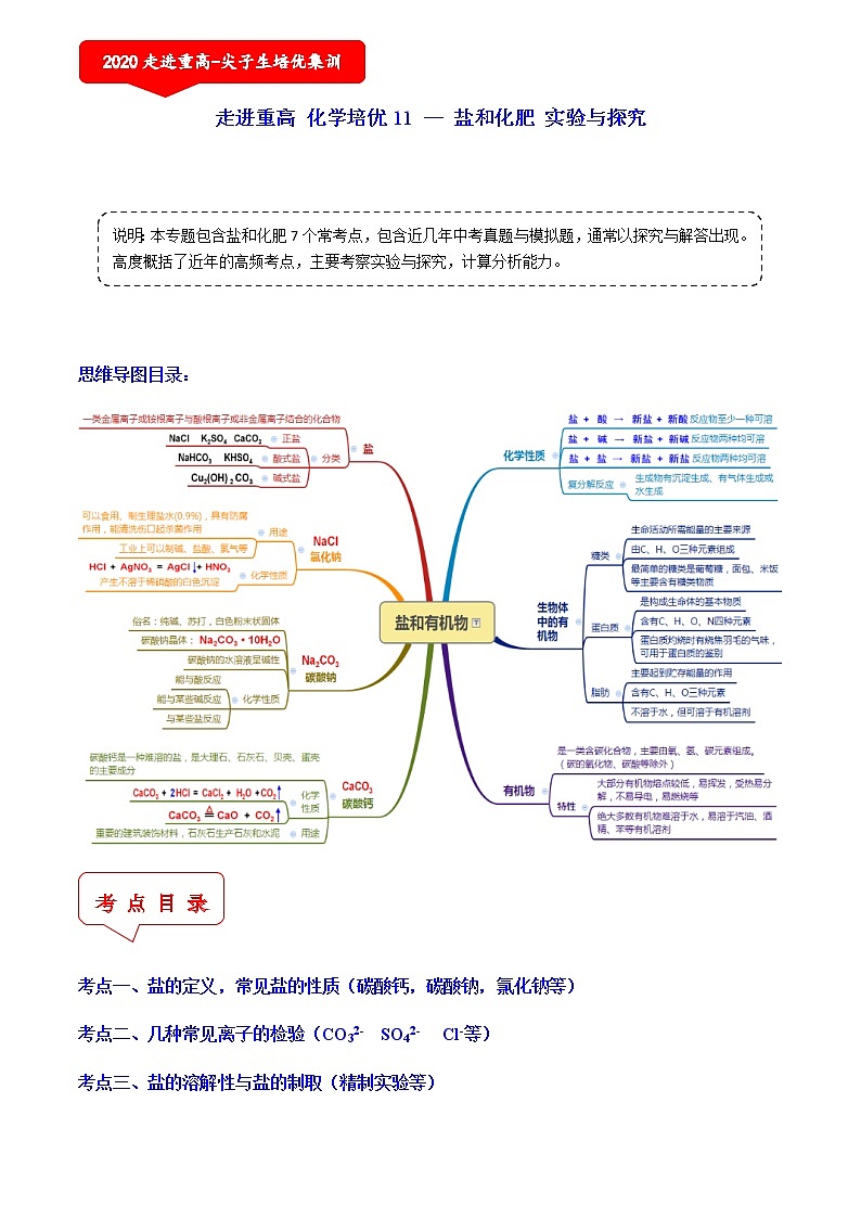 盐和化肥 实验与探究（7个考点）-2021年中考科学（浙教版）重难点、易错点复习练习（教育机构专用）01
